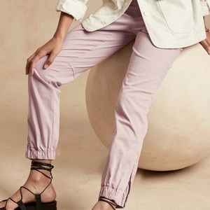 Banana Republic Slim Utility Pant
